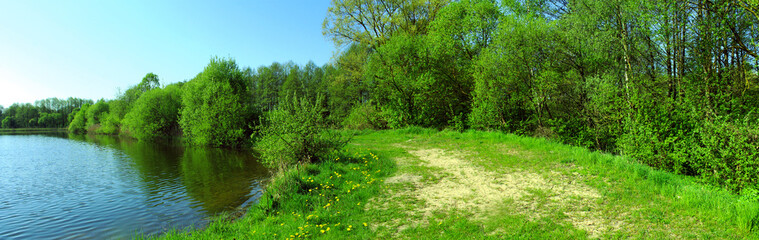 Fototapeta na wymiar Panoramic image of the forest on the lake