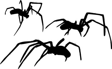 three small black spiders illustration