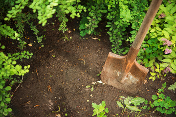 an old shovel in the ground in the garden