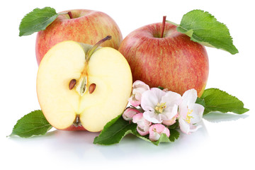 Apfel Äpfel Frucht frische Früchte Obst Freisteller freigestel