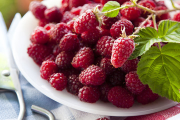 freshly cut natural raspberries