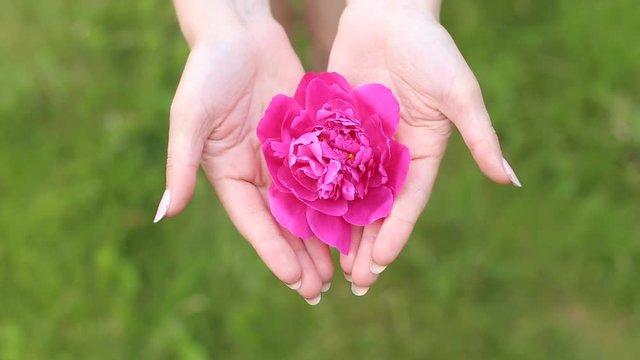the flower on the palms of the hands