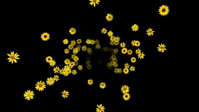Floral background (sunflower) - alpha, looping animation
