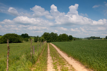 Country road through the field