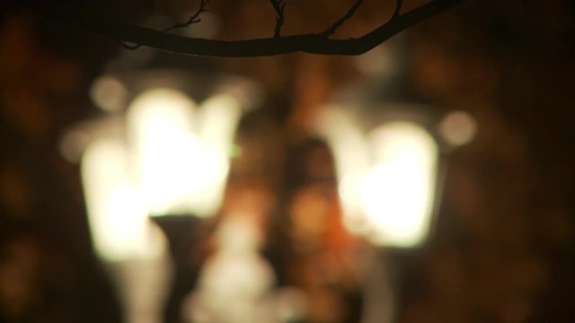 A cluster of three outdoor lamps among brown oak leaves coming into focus