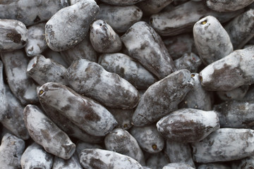 honeysuckle black berries background