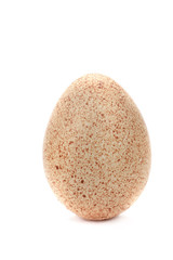 turkey-cock egg