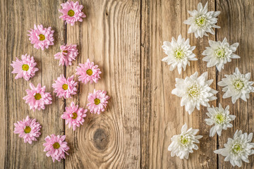 Obraz na płótnie Canvas White and pink flowers on the wooden background