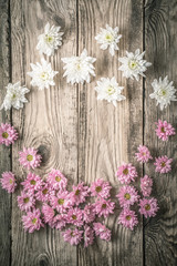 Fototapeta na wymiar Frame of white and pink flowers on the wooden background vertical