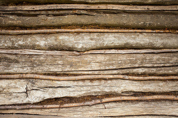 Obraz premium Rough texture of wood
