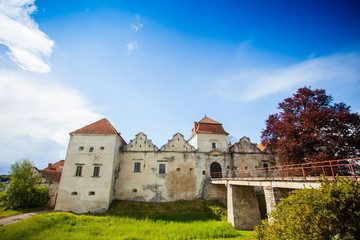Obraz na płótnie Canvas Old castle surrounded with summer nature