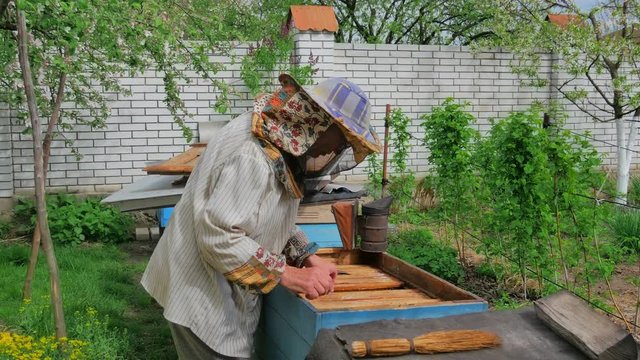 Beekeeper work on an apiary