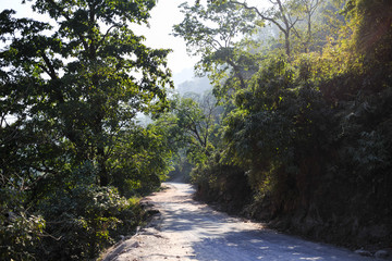Fototapeta na wymiar Empty mountain road in Himalaya, Rishikesh, India
