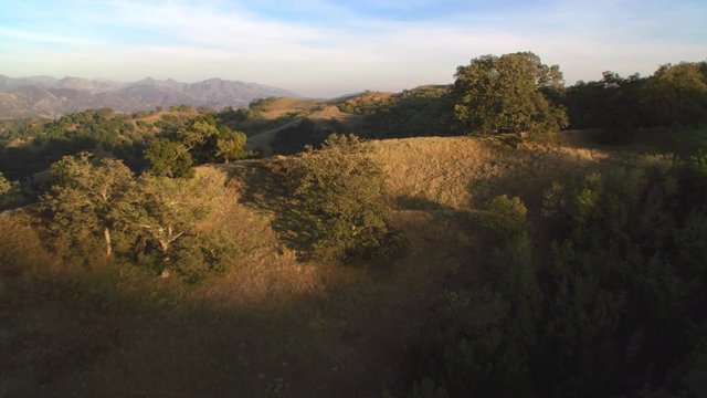 Close flight over brushy rounded hills in the San Gabriel Mountains, California. Shot in 2010.