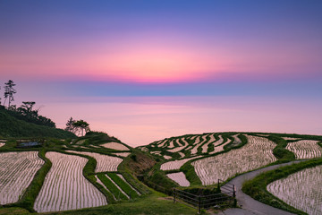 白米千枚田の夕景