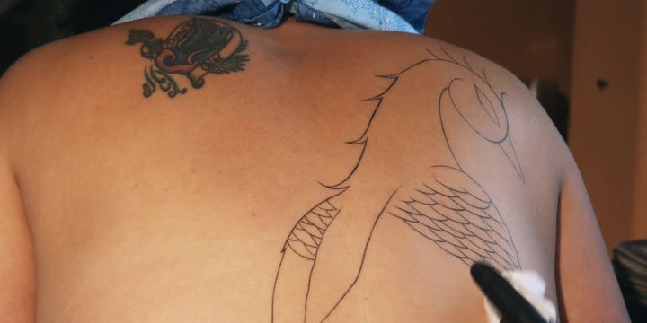 Hands of a tattoo artist wiping and inking a design on a customer's back