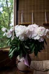 fresh white peonies
