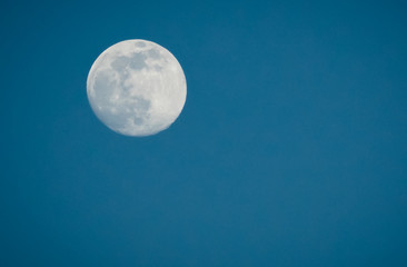 Full Moon on the blue evening sky