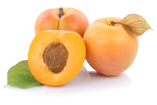 Aprikose Aprikosen Frucht frische Früchte Obst Freisteller frei