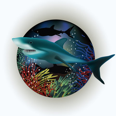 Underwater postcard with shark, vector illustration