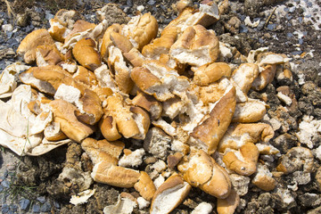 baguettes baked bread thrown on trash