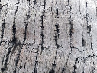 Pattern background,wood texture 