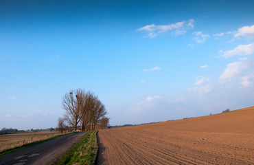 Fototapeta na wymiar Road and plowed field in spring time with blue sky