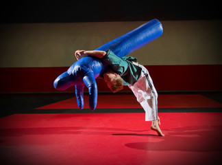 Wrestler training