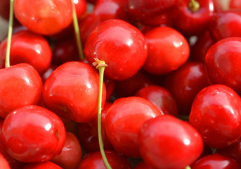 Süsskirschen close up