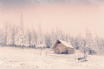 Winter landscape with snow in mountains Carpathians, Ukraine. Vi