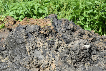 Spillage pile of wet mud