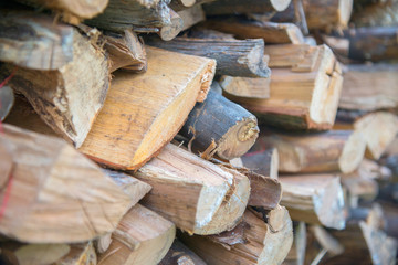 dry chopped firewood logs in a pile