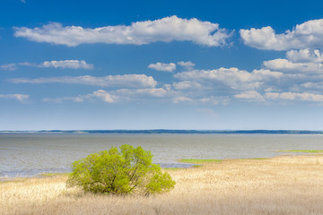 Beautiful view of the lake Łebsko