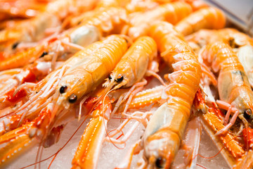 Pile of red fresh shrimps