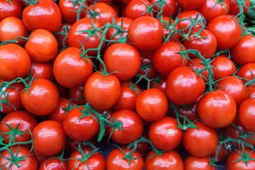 Fresh organic tomatoes as background. Close up.