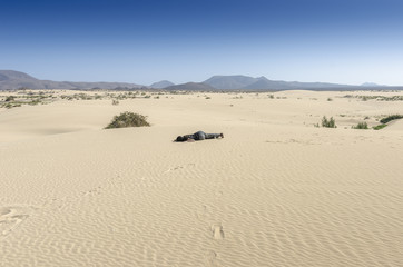 Fototapeta na wymiar Woman fainted in desert sand.