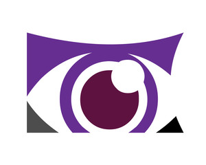 Eye Vision Logo Design Icon Vector