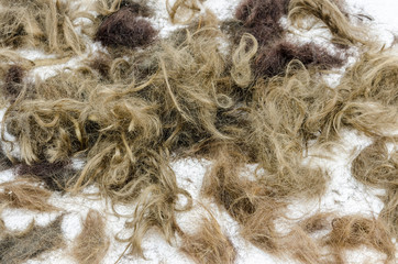 backdrop of human and animal hair