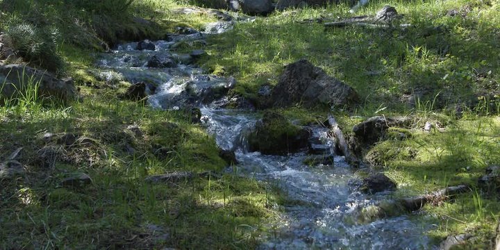 Close view of small mountain stream flowing over rocks between grassy banks