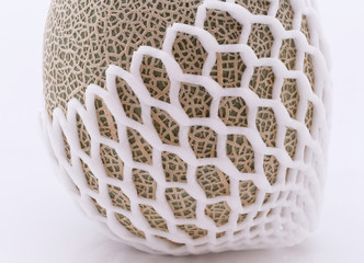 Melon on white background.