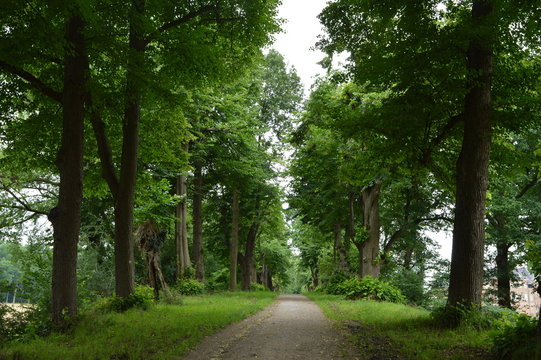 laan bij kasteel Huize Berg 