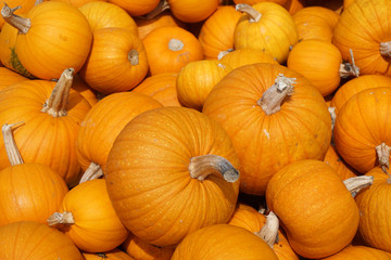 pumpkin background