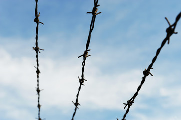 barbed wire against blue sky