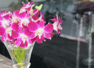 Pink and purple orchid in a glass vase, With place your text
