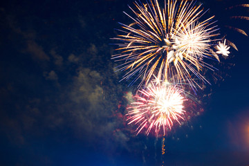 Brightly colorful fireworks of various colors in the night