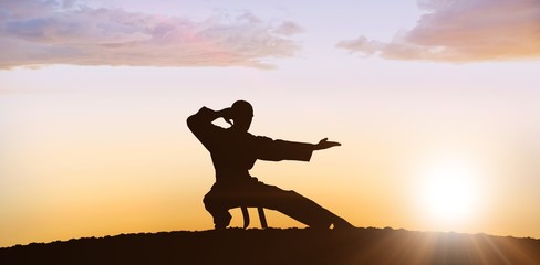 Fototapeta na wymiar Composite image of fighter performing karate stance