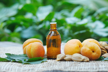 apricot oil bottle