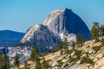 Half Dome  as seen from Olmsted viewpoint