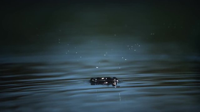 Ultra-slow motion drop flinging bead-like droplets across shadowy green water