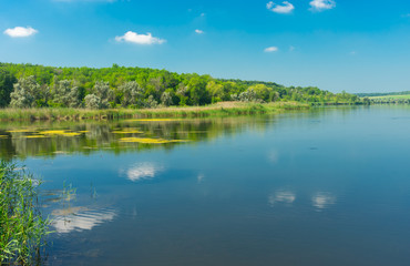 Fototapeta na wymiar Simple tranquil landscape on a summer lake